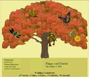 Paige and David's Wedding