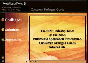 PwC CIP/T Zone Initiative