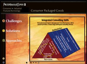 PwC CIP/T Zone Initiative sample page